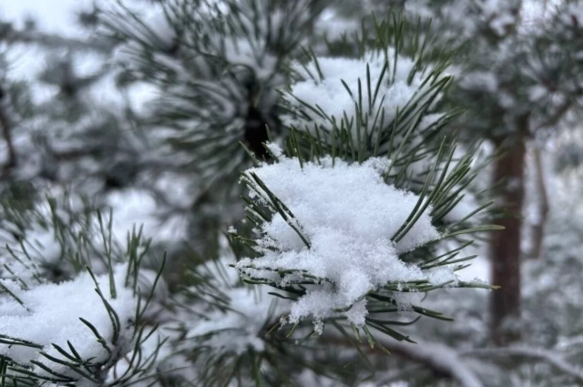    О сильном снеге 17 декабря предупредили нижегородских водителей