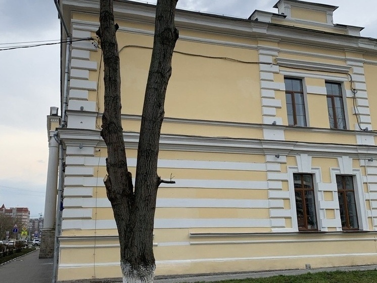     Фото: "МК в Туле"