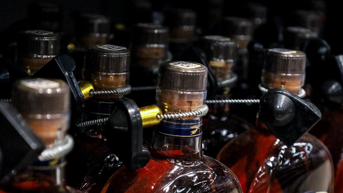 Фото: Elena Mayorova/globallookpress.com