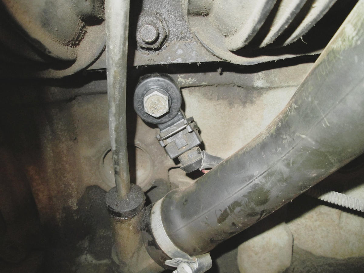 Источник Яндекс Картинки