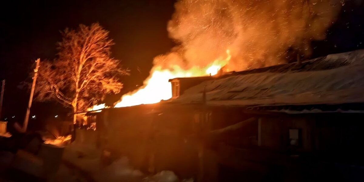    Фото: Telegram-канал Сергея Гурьянова Наталья Краснова