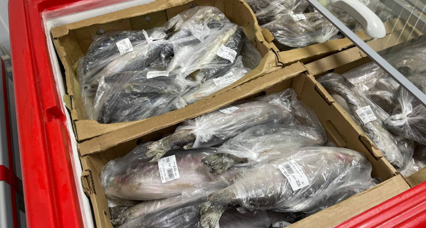    Автор фото - Анна Ефимова