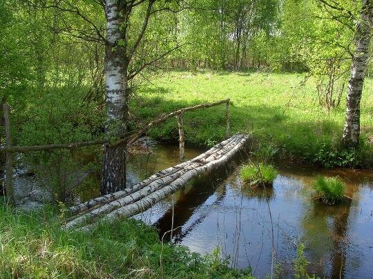 В три жердочки березовый мосток ...