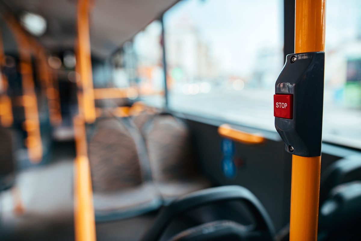    Фото: Drazen Zigic / Shutterstock.com