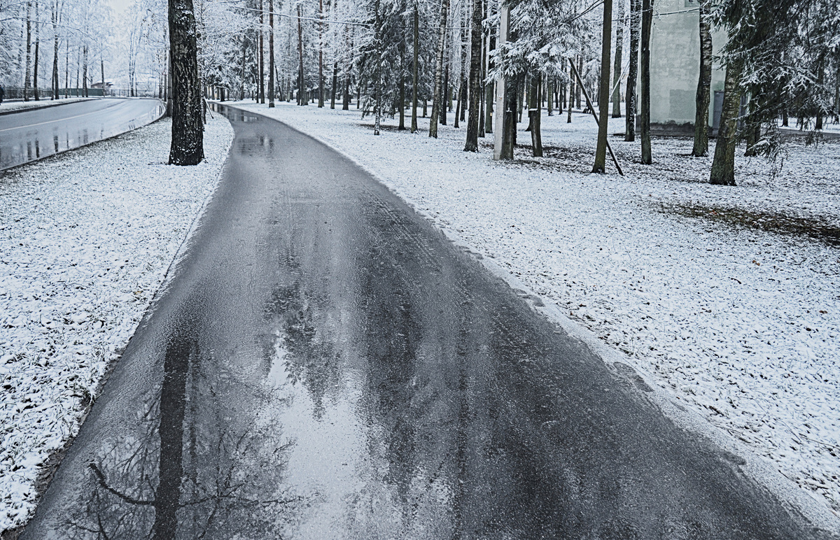 Павловск. Ноябрь 2020. Фотография Александра Новикова