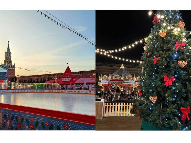     Фото: МК в Питере