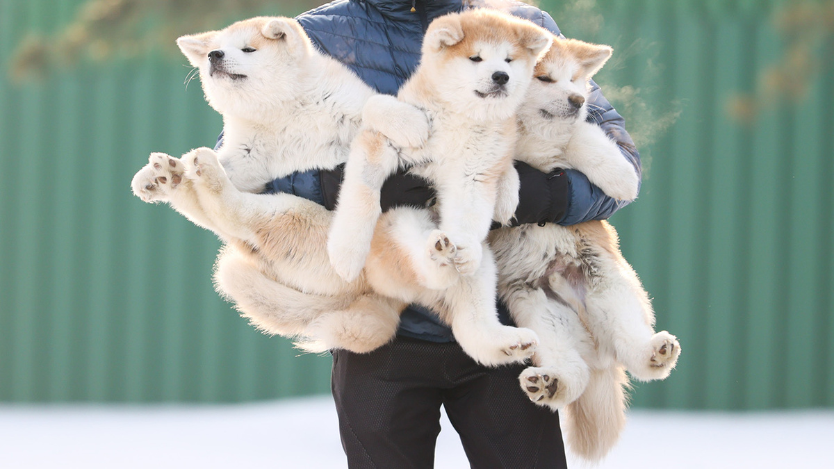   Юрий Смитюк / ТАСС