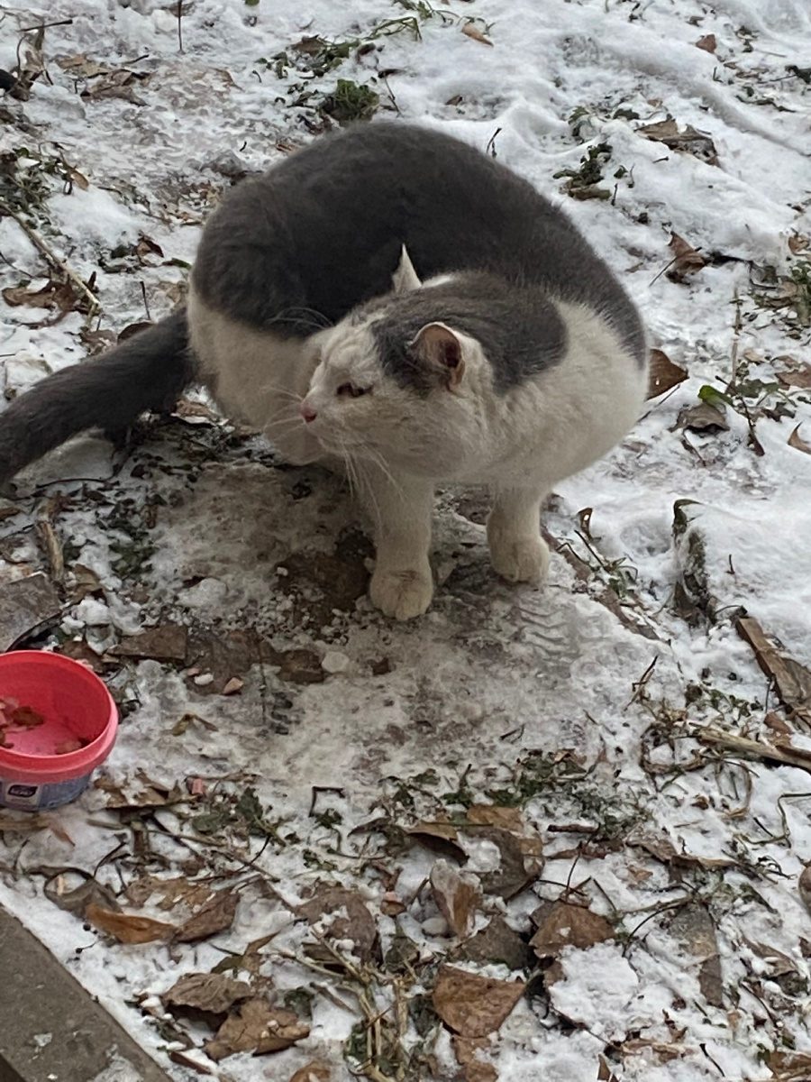 Sky на завтраке