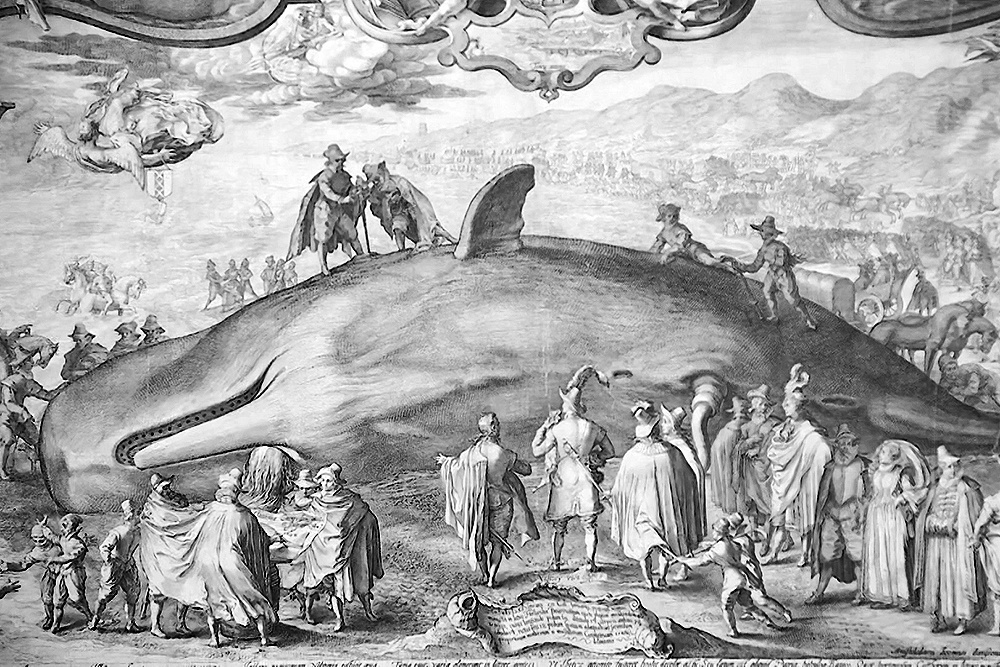    ©АО "ТВ Центр"