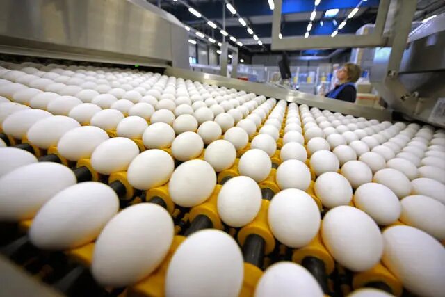 Фото: Пиус Амрейн / Нью-ЛЗ