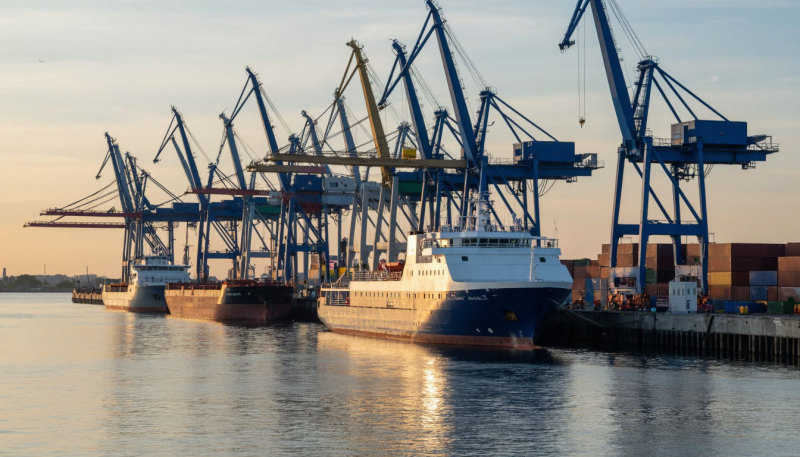 Фото: коллаж Царьграда