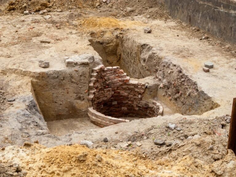    Фото: wiki commons/Dietmar Rabich/CC BY-SA 4.0 Ирина Моргунова