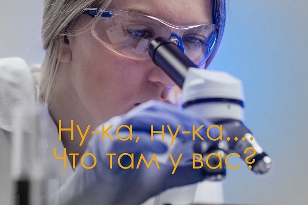 Наша жизнь под микроскопом писателя