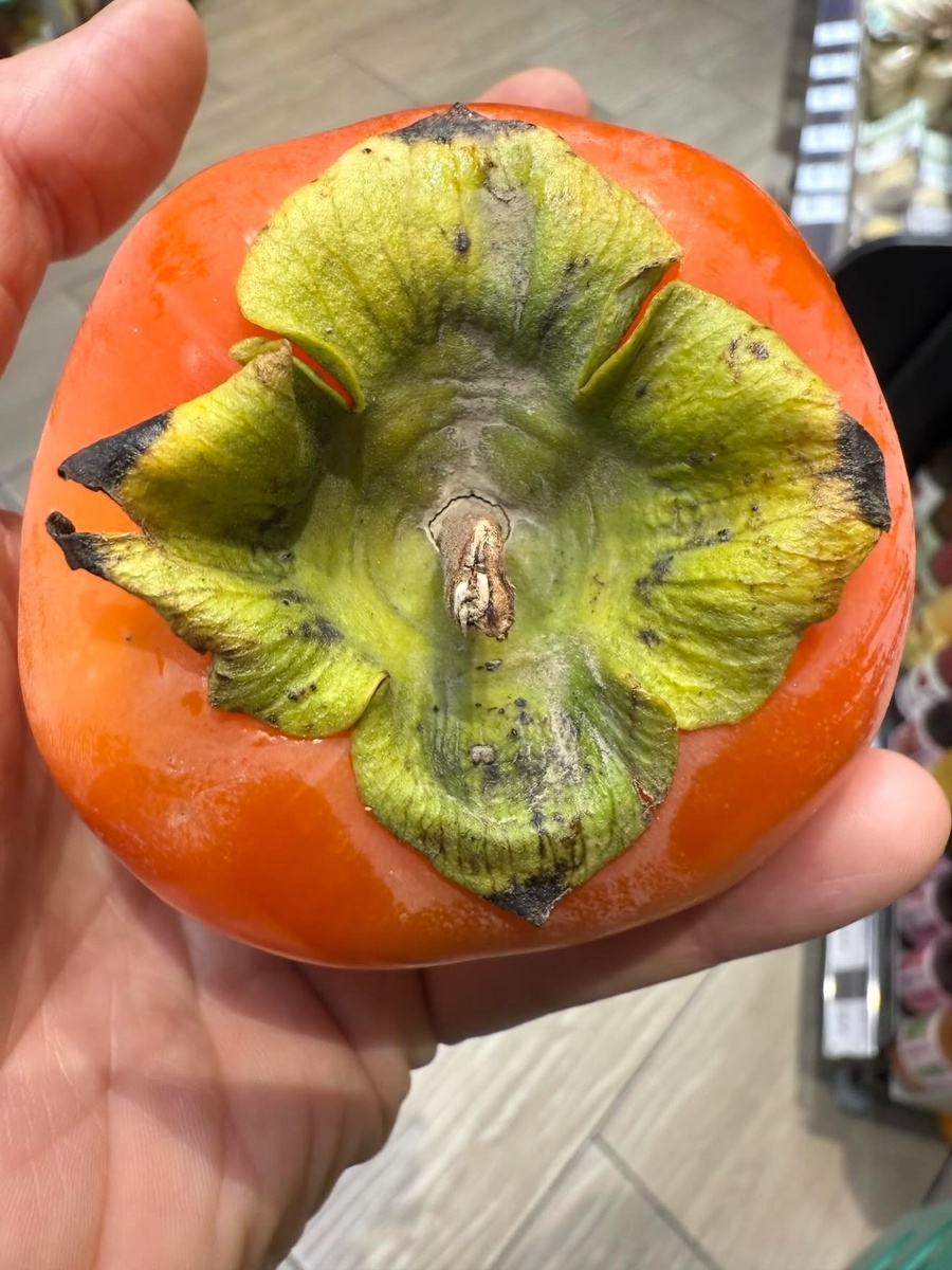 Стоит исключить или ограничить