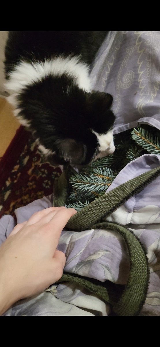 Матрос на приёмке товара