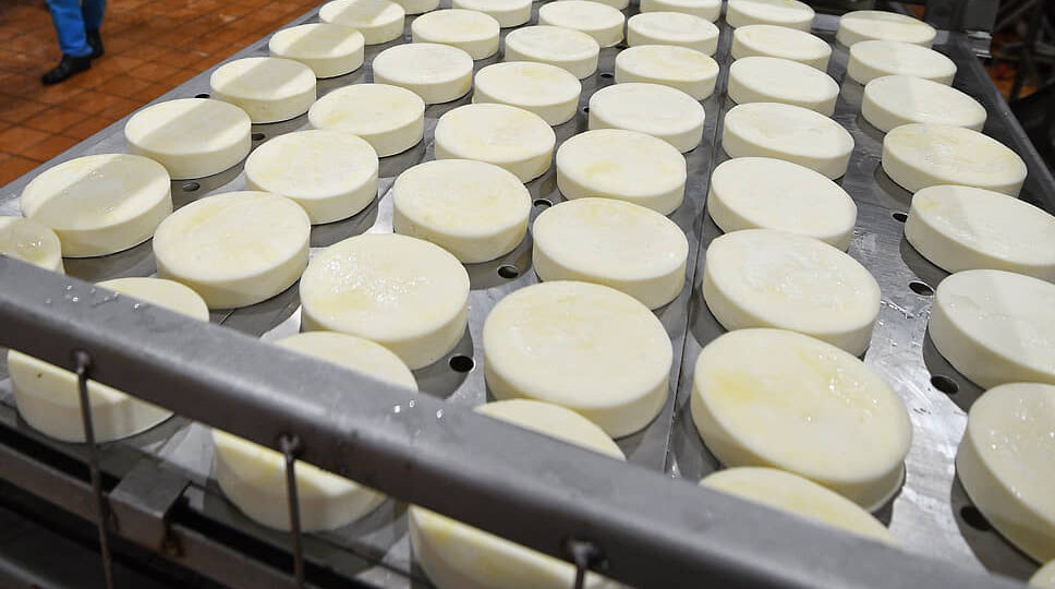 Россельхознадзор забраковал более 18 тонн сомнительного сыра в Нижнем Новгороде