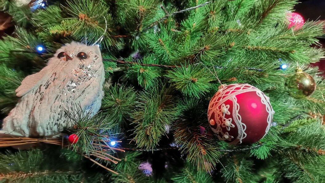    Фото: Телеканал Царьград