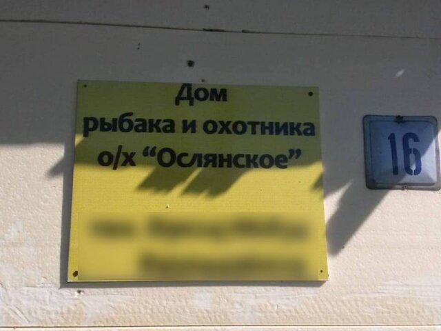    Фото: телеграм-канал SHOT