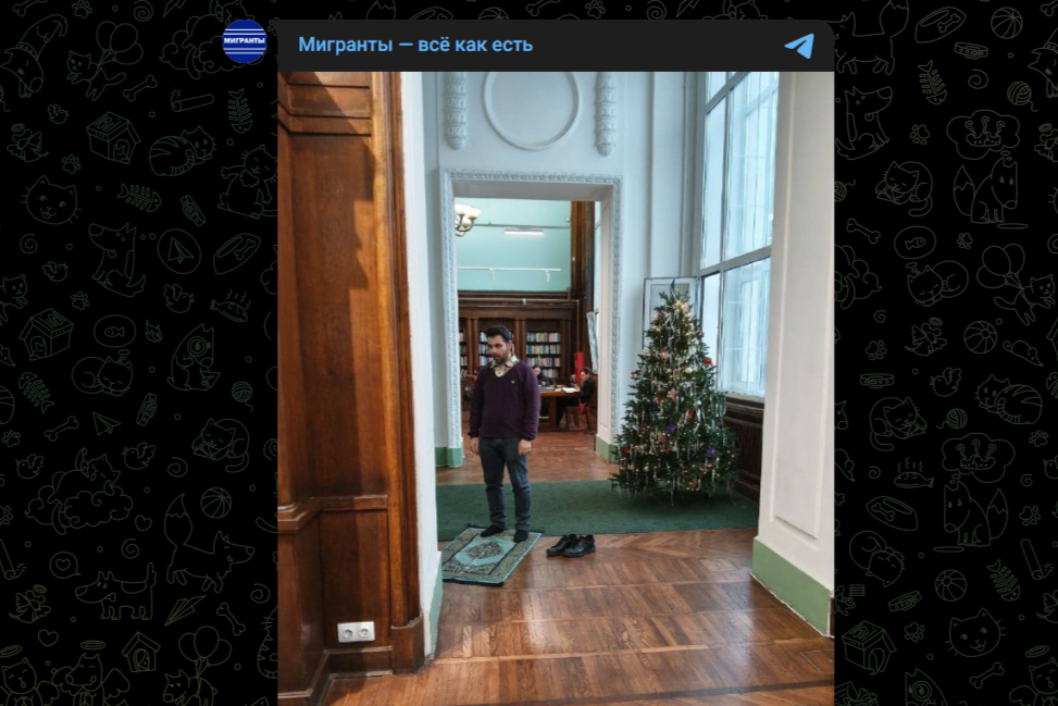 Фото: Telegram-канал "Мигранты — всё как есть"