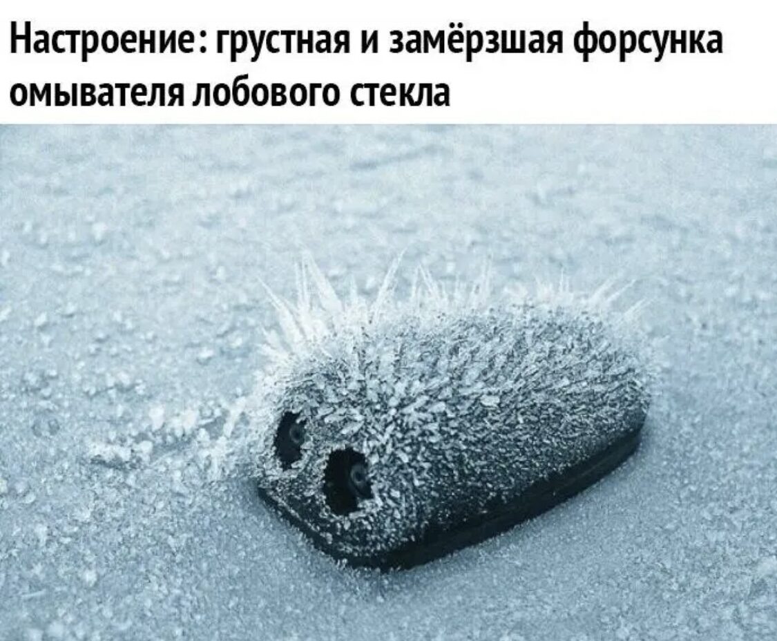 Это я. Моя пассажирка была такая же...