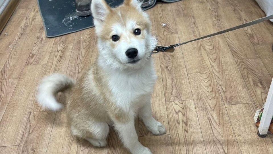 Просто привели и оставили на погибель, Якутск…