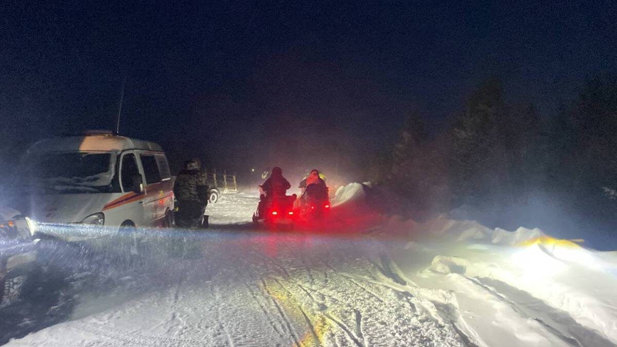    Фото: «ЛизаАлерт»