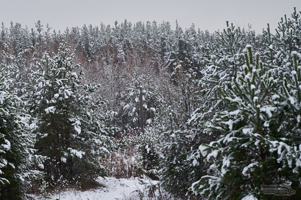    Фото Лидия Аникина © ИА «Уральский меридиан»