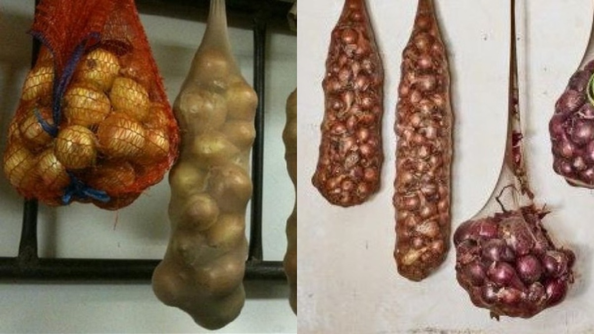 Репчатый лук в капроновых колготках