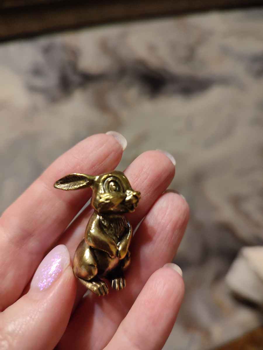 Муж привёз очаровательного зайку мне из Пскова