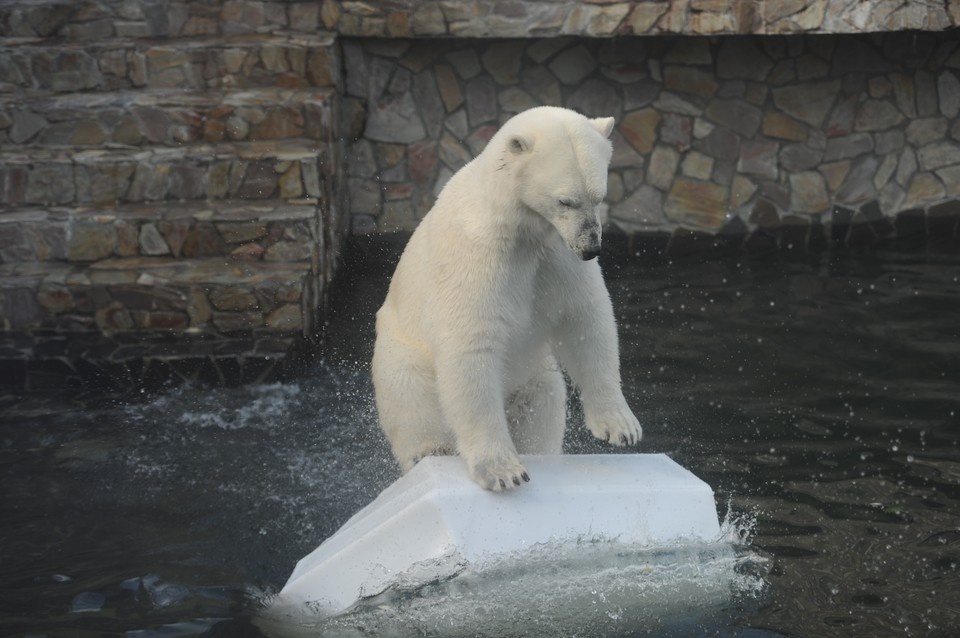    Безопасно приобрести билет можно только через официальные каналы. Юлия ПЫХАЛОВА