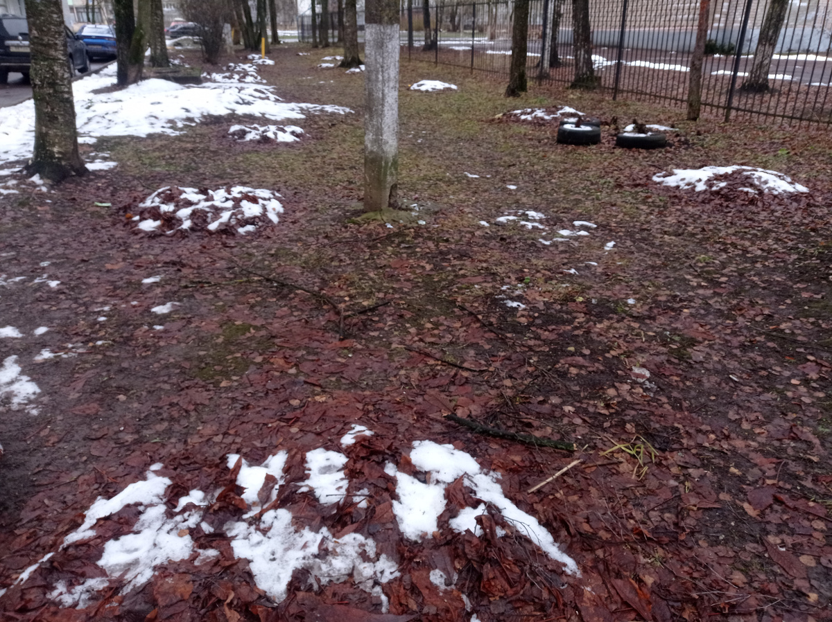 1 декабря - снег, выпавший в конце ноября практически растаял