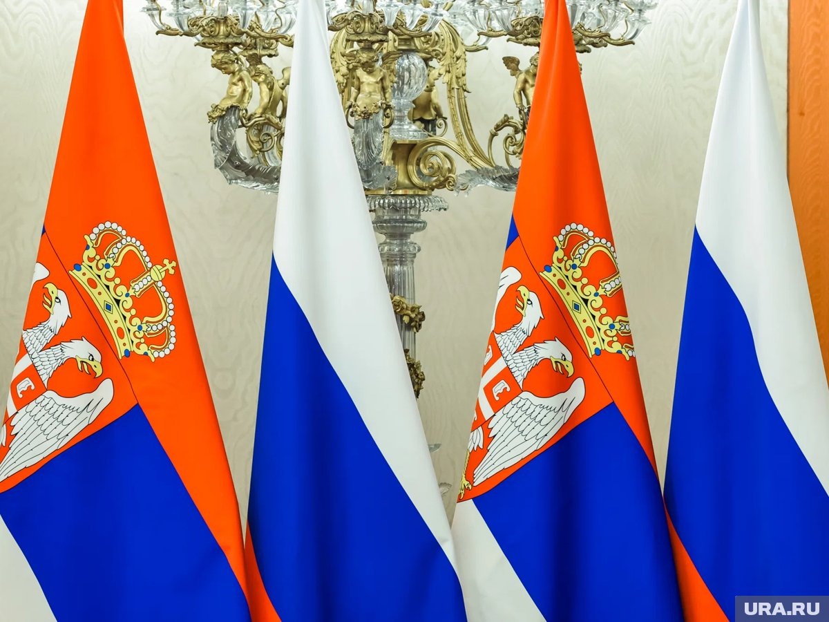     Экс-вице-премьер Сербии заявил, что ЕС готовится к войне с Россией