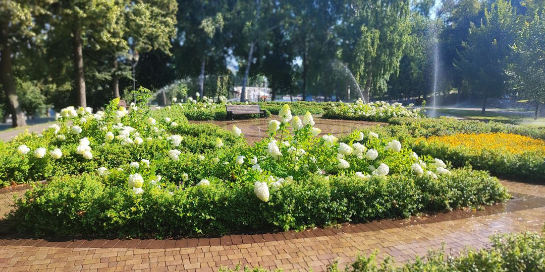 Нахальная свекровь. Глава 17.