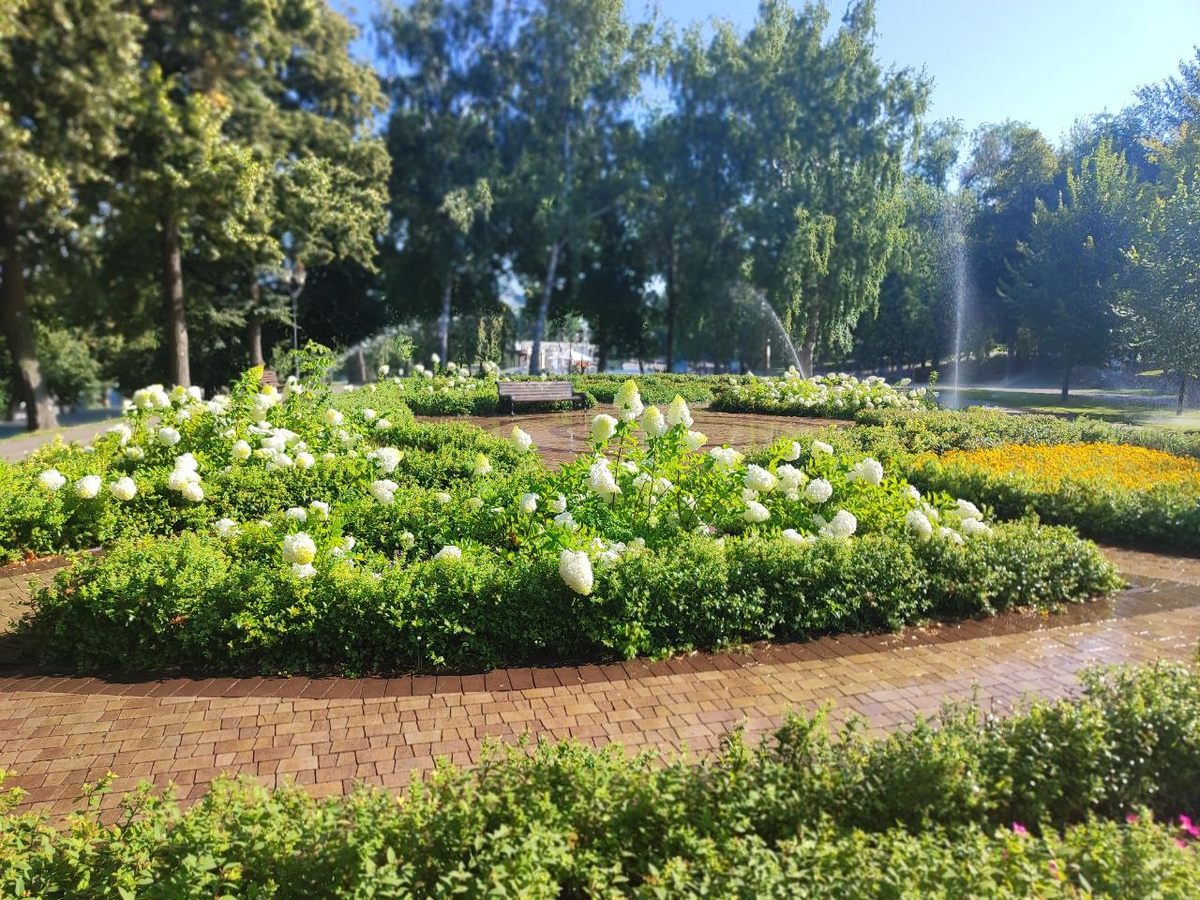 Фото автора.