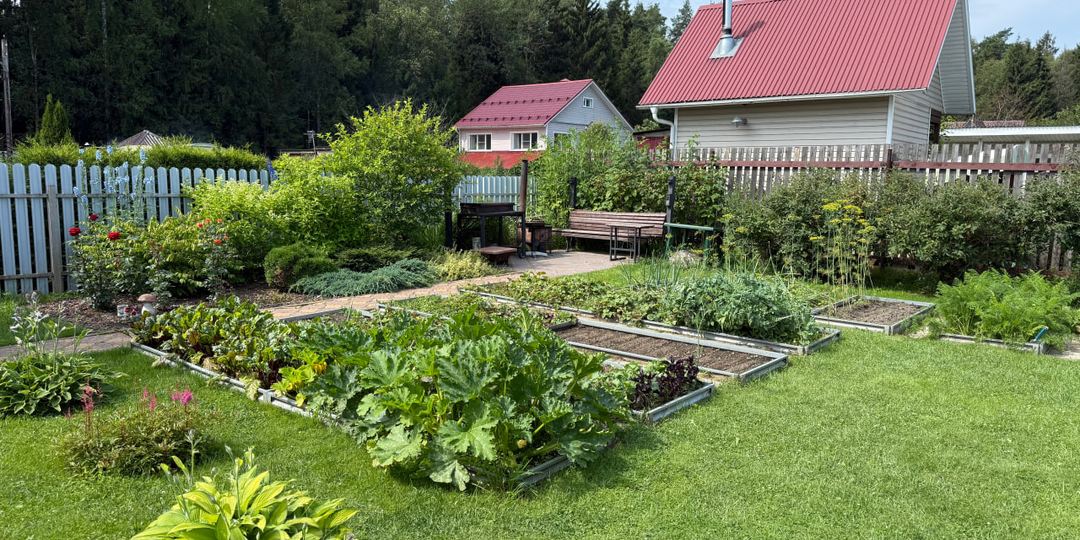 Народные средства, которые используют дачники. Главный агроном развеивает мифы