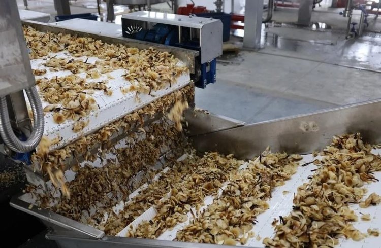    Фото: Пресс-служба Администрации Краснодарского края