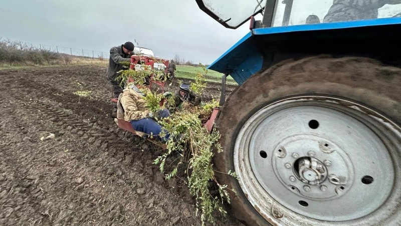      Фото: Минприроды Ставропольского края