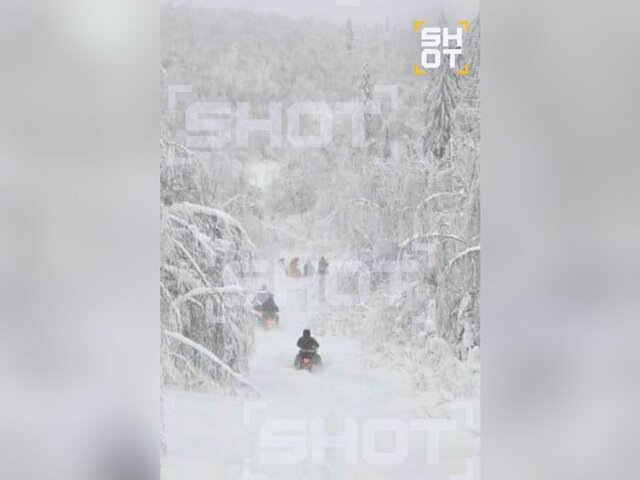    Фото: телеграм-канал SHOT