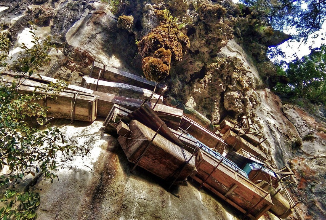 Фото: Markjay22 / Wikipedia