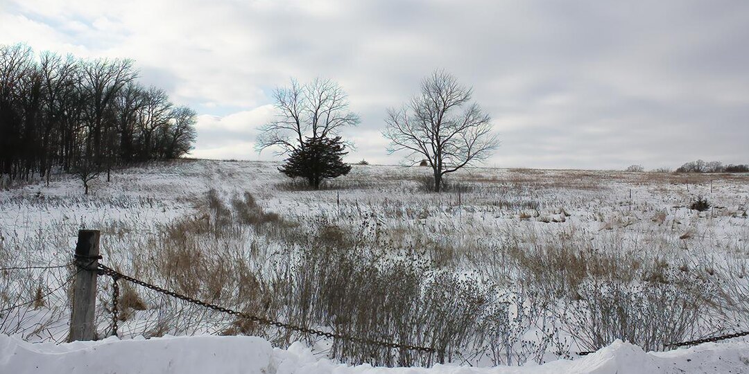 Названы причины расторжения аренды земельных участков в Подмосковье