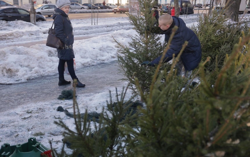 Стали известны адреса елочных базаров в Пскове
