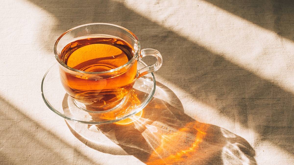    Фото: Shutterstock