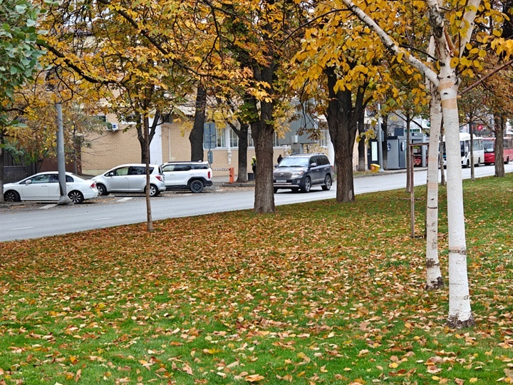    Фото: Юрий Серебренников/BFM Кубань