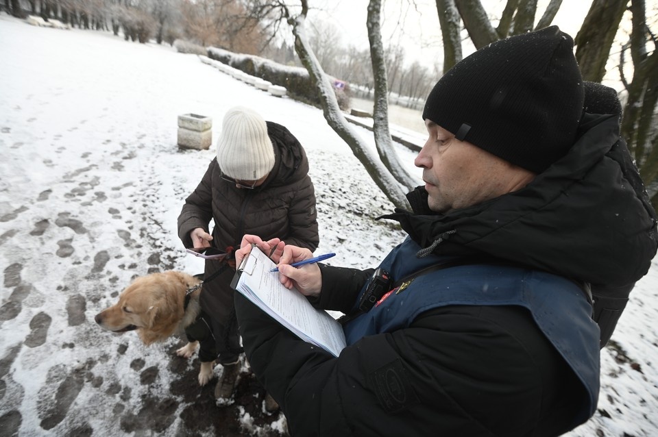    Почти месяц в Петербурге действуют новые правила выгула собак. Что изменилось? Алексей БУЛАТОВ