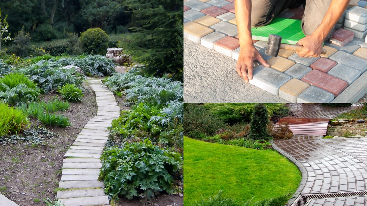 Мой участок: от грязи к красоте за копейки