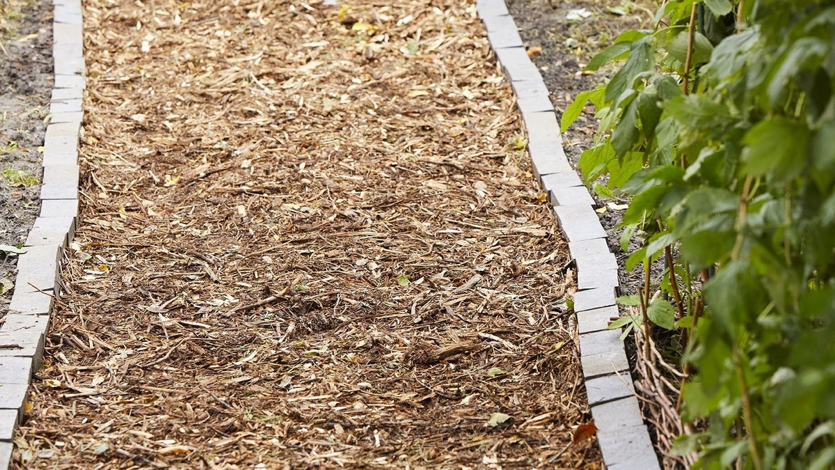 Щепа с бордюром - просто и экологично