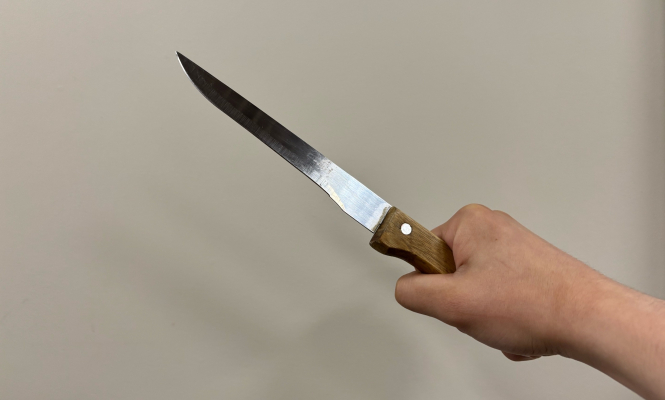    фото: © Столица на Онего