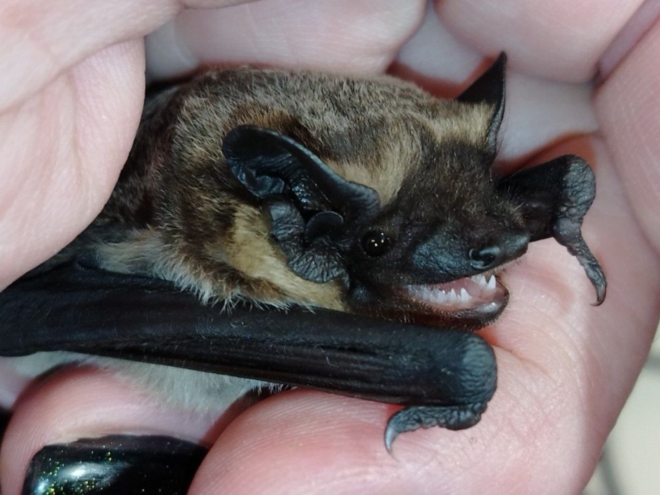    Фото: личный архив Максима Рублева