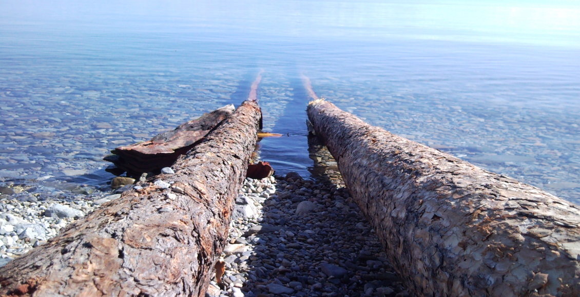    Фото: НИА "Экология"