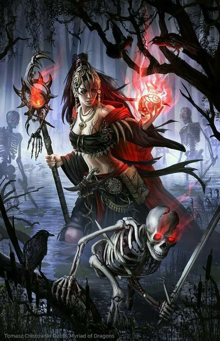 Шестая книга